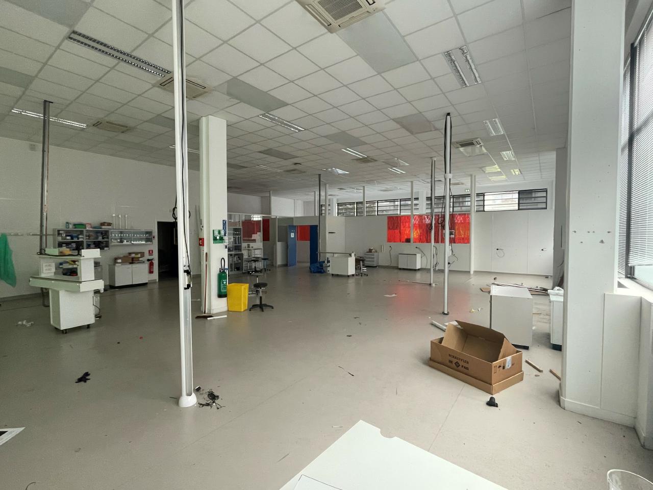 Local d'activité Bagneux 1484m² Location local d'activité Bagneux Hauts-de-Seine OLACT2421146 6